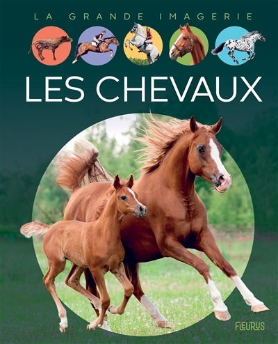 La grande imagerie - chevaux (Les) | Vandewiele, Agnès