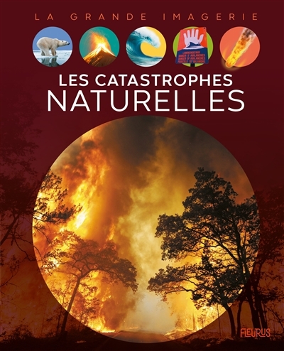 La grande imagerie - Les catastrophes naturelles  | Beaumont, Emilie