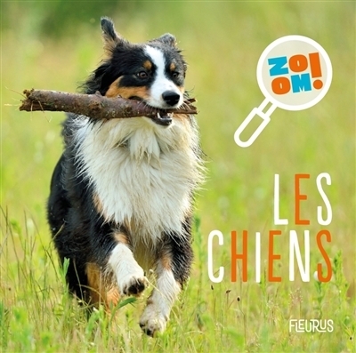 chiens (Les) | Bourset, Carole (Auteur)
