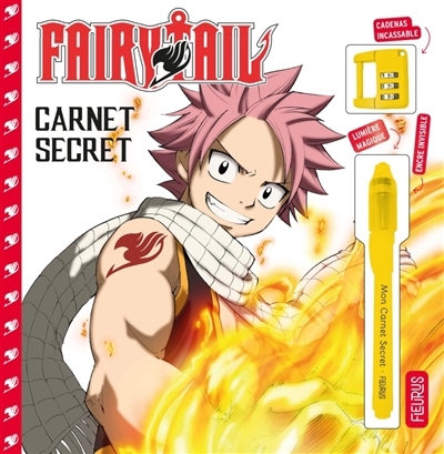 Fairy Tail : carnet secret | 