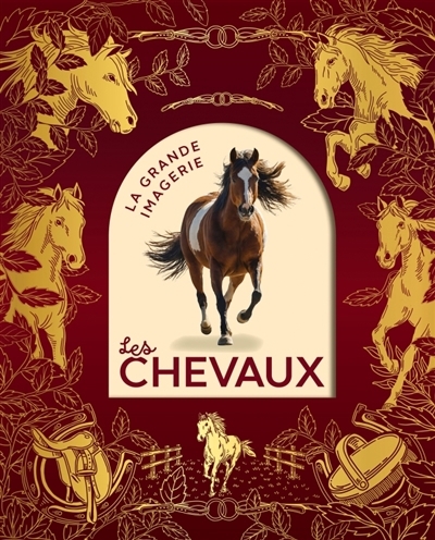 Les chevaux | Vandewiele, Agnès