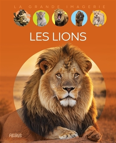 lions (Les) | Franco, Cathy