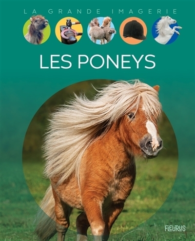 La grande imagerie : Les poneys | Franco, Cathy