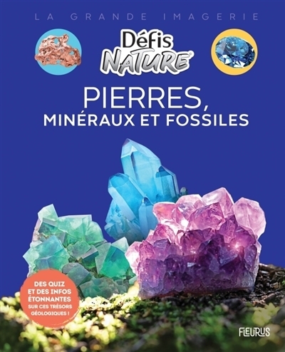 La grande imagerie : Pierres, minéraux et fossiles | Vallot, Damien