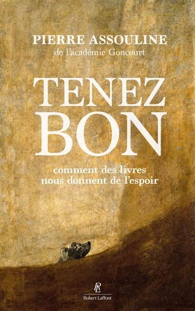 Tenez bon : comment des livres nous donnent de l'espoir | Assouline, Pierre 