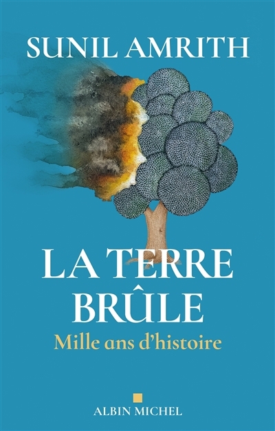 La Terre brûle : mille ans d'histoire | Amrith, Sunil S. (Auteur)