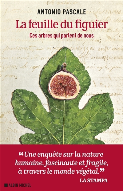 La feuille du figuier : ces arbres qui parlent de nous | Pascale, Antonio (Auteur)