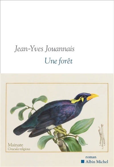 Une forêt | Jouannais, Jean-Yves