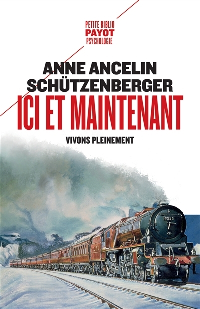 Ici et maintenant : vivons pleinement | Ancelin Schützenberger, Anne