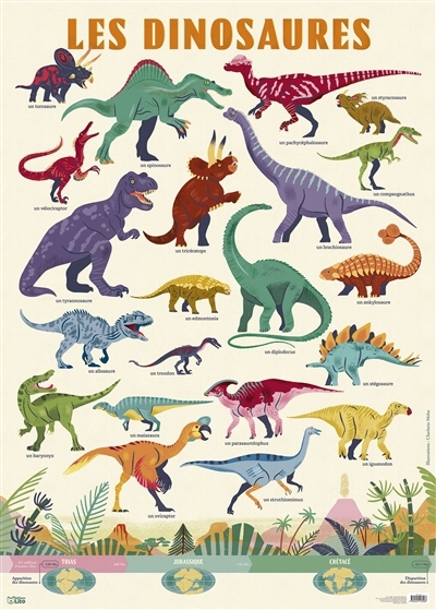 dinosaures (Les) | Molas, Charlotte (Illustrateur)