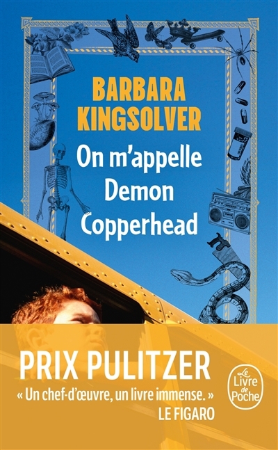 On m'appelle Demon Copperhead | Kingsolver, Barbara (Auteur)