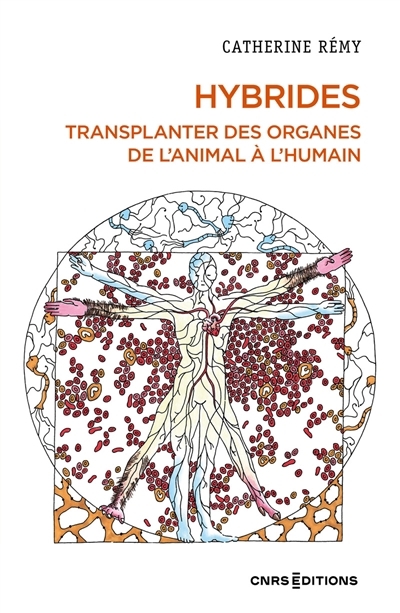 Hybrides : transplanter des organes de l'animal à l'humain | Rémy, Catherine 