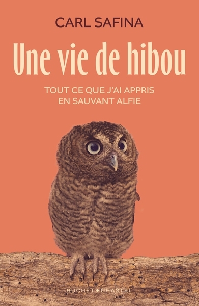 Une vie de hibou : tout ce que j'ai appris en sauvant Alfie | Safina, Carl 