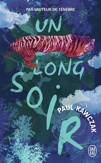 Un long soir | Kawczak, Paul (Auteur)