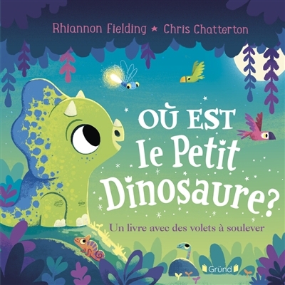 Où est le petit dinosaure ? | Fielding, Rhiannon (Auteur) | Chatterton, Chris (Illustrateur)