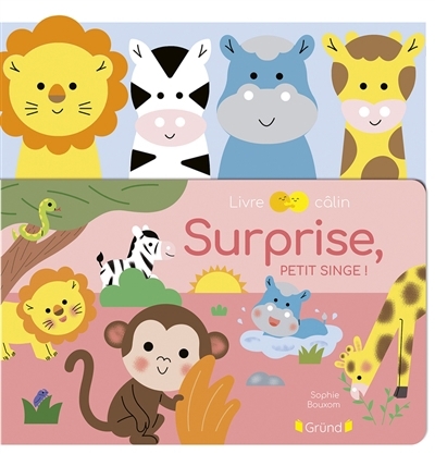 Surprise, petit singe ! | Bouxom, Sophie (Illustrateur)