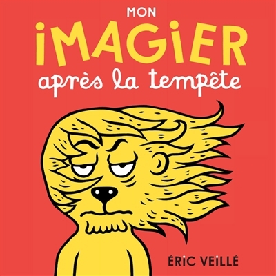 Mon imagier après la tempête | Veillé, Eric