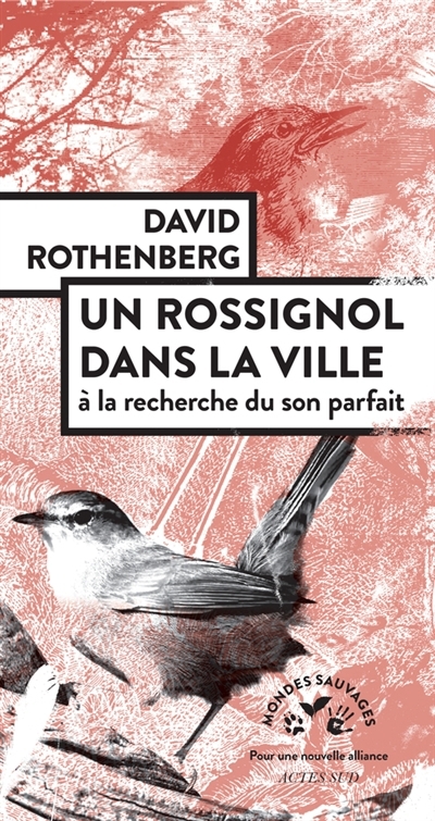 Un rossignol dans la ville : à la recherche du son parfait | Rothenberg, David (Auteur)