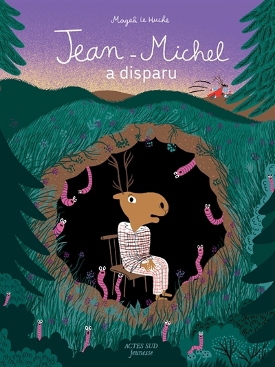 Jean-Michel a disparu | Le Huche, Magali (Auteur)