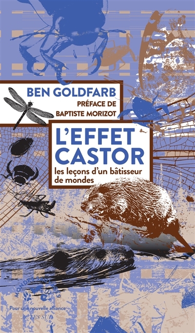 L'effet castor : les leçons d'un bâtisseur de mondes | Goldfarb, Ben (Auteur) | Gilman, Sarah (Illustrateur)