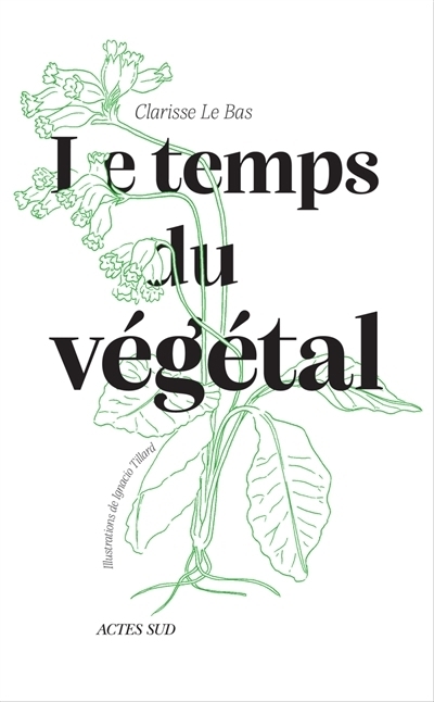 temps du végétal (Le) | Le Bas, Clarisse (Auteur) | Tillard, Ignacio (Illustrateur)