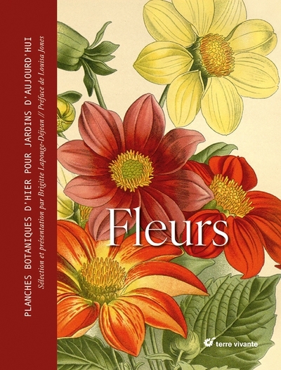 Fleurs | 