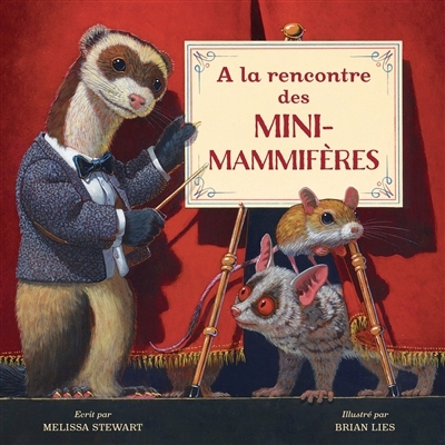 À la rencontre des mini-mammifères | Stewart, Melissa (Auteur) | Lies, Brian (Illustrateur)