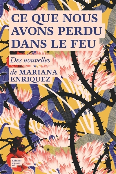 Ce que nous avons perdu dans le feu | Enriquez, Mariana