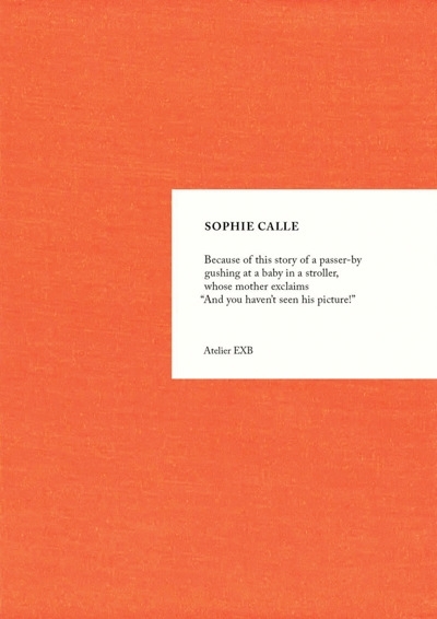 Because | Calle, Sophie (Auteur)