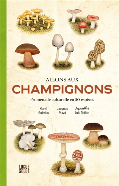 Allons aux champignons : promenade culturelle en 50 espèces | Guirriec, Hervé (Auteur) | Mazé, Jacques (Auteur) | Tréhin, Loïc (Illustrateur)