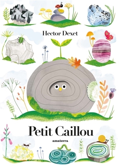 Petit caillou | Dexet, Hector (Auteur)