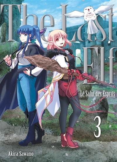 The last elf : le salut des esprits T.03 | Sawano, Akira