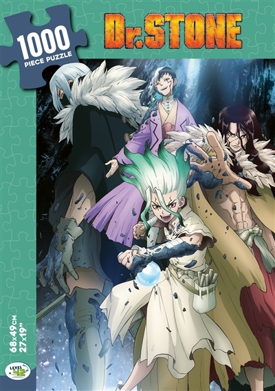 Dr. Stone : puzzle 1.000 pièces | Casse-têtes