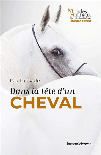 Dans la tête d'un cheval | Lansade, Léa (Auteur)