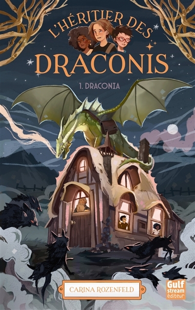 L'héritier des Draconis T.01 - Draconia | Rozenfeld, Carina (Auteur)