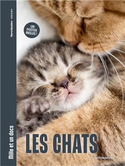 Les chats | Bessière, Pierre