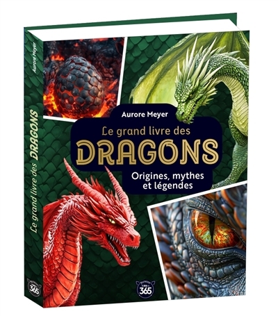 Mon grand livre des dragons | Meyer, Aurore