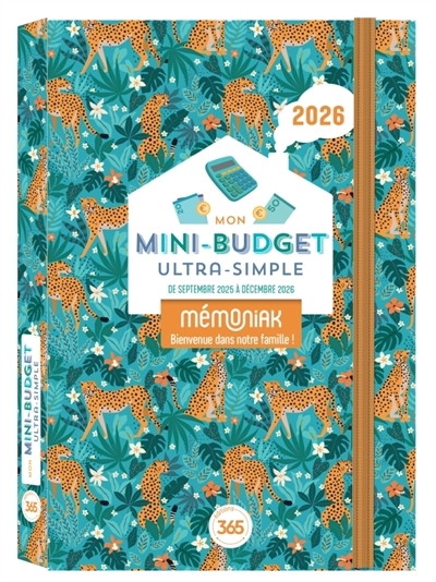 Mon mini-budget ultra-simple 2026 : de septembre 2025 à décembre 2026 | 