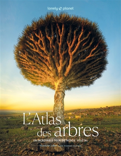 L'atlas des arbres : un incroyable tour du monde végétal | Collins, Matthew (Auteur)