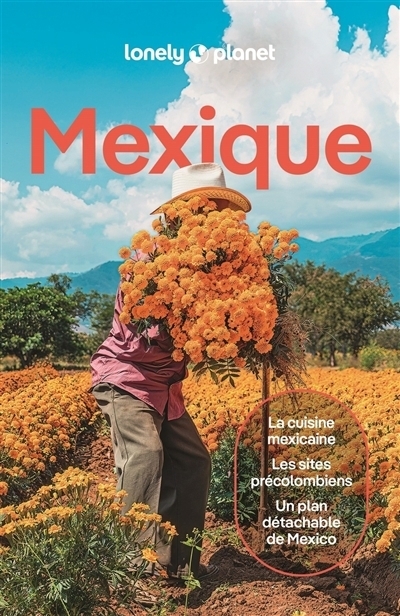 Mexique - Lonely planet | 