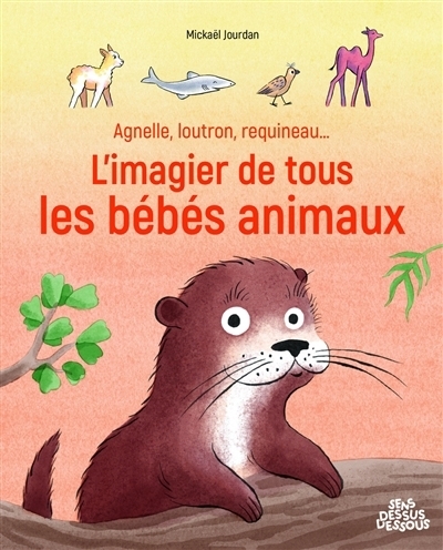 Agnelle, loutron, requineau... L'imagier de tous les bébés animaux | Jourdan, Mickaël