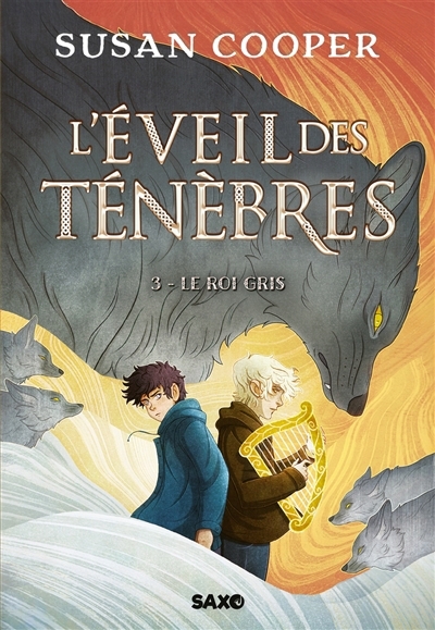 L'éveil des ténèbres T.03 - Le Roi Gris | Cooper, Susan