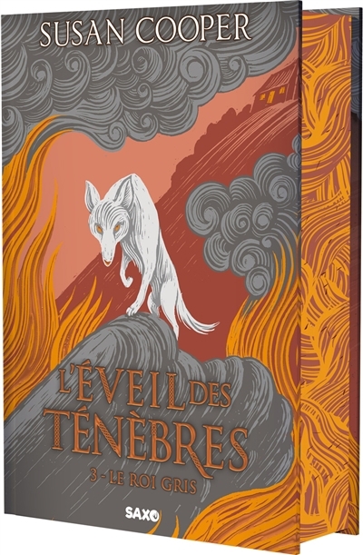 L'éveil des ténèbres T.03 - Le Roi Gris | Cooper, Susan