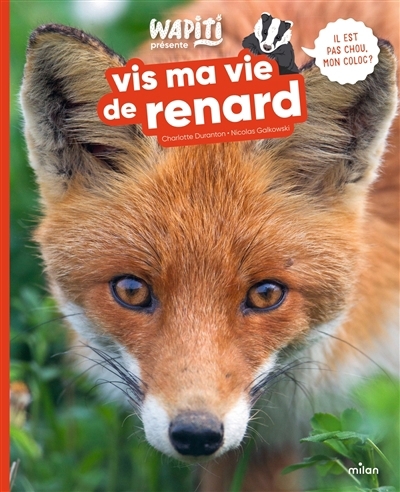 Vis ma vie de renard | Duranton, Charlotte (Auteur) | Galkowski, Nicolas (Illustrateur)