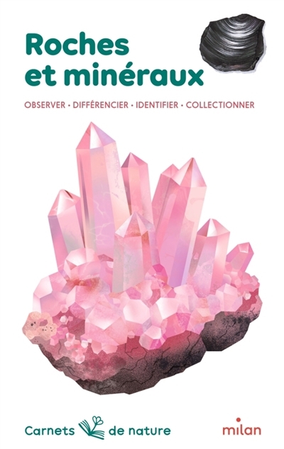 Roches et minéraux : observer, différencier, identifier, collectionner | Duranthon, Francis (Auteur) | Fichaux, Catherine (Illustrateur)