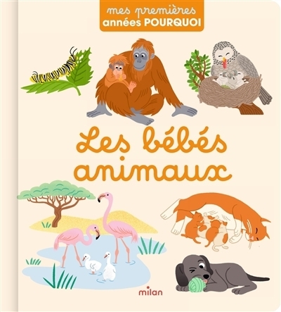 Mes premières années pourquoi - Les bébés animaux | Redoulès, Stéphanie (Auteur) | Falorsi, Ilaria (Illustrateur) | Michaud, Raphaëlle (Illustrateur)