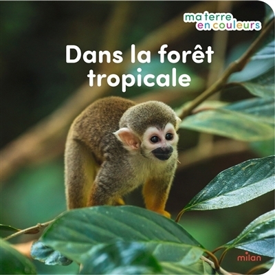 Dans la forêt tropicale | Redoulès, Stéphanie