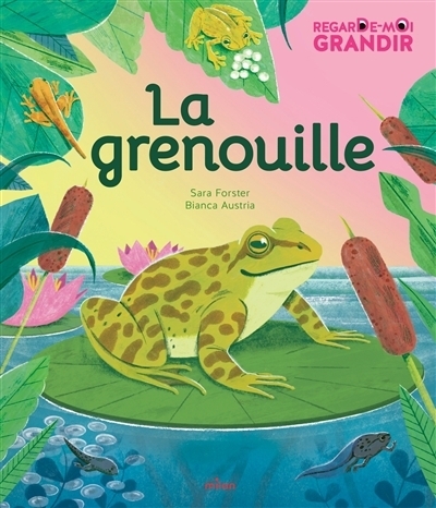 La grenouille | Forster, Sara (Auteur) | Austria, Bianca (Illustrateur)