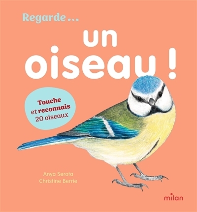 Regarde... un oiseau ! | Serota, Anya (Auteur) | Berrie, Christine (Illustrateur)