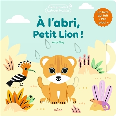 À l'abri, petit lion ! | Blay, Amy